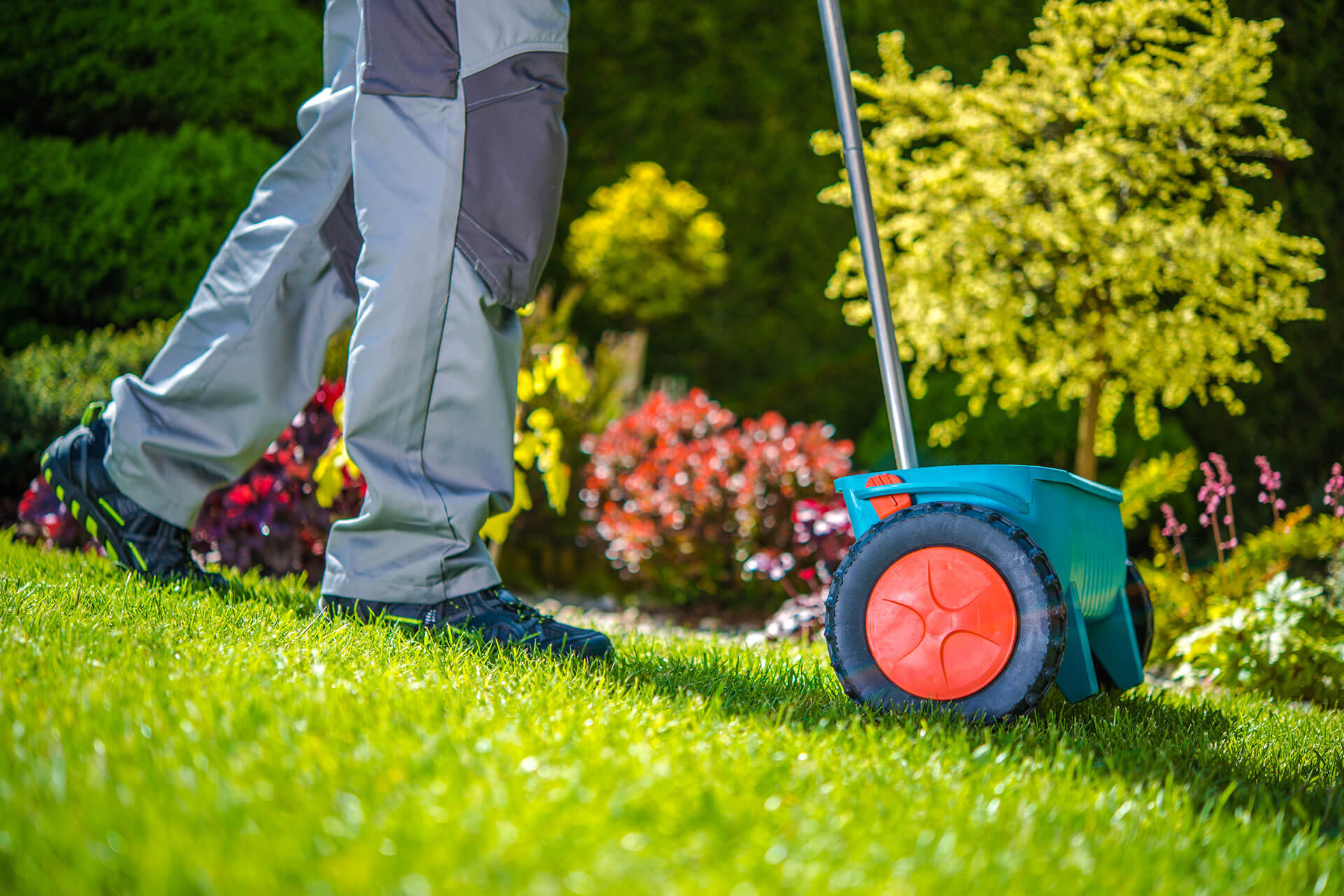 Landscape Maintenance